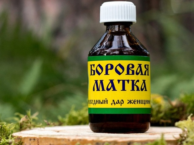 Полип эндометрия в матке: причины и лечение без операции, симптомы и отзывы