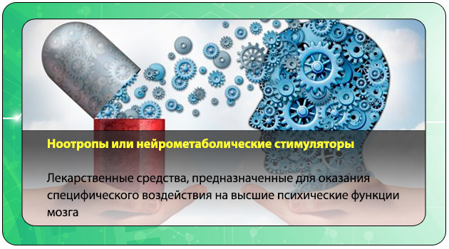 Таблетки и препараты для чистки сосудов головного мозга