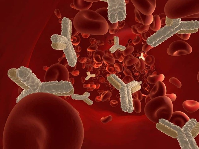 Anti hcv подтверждающий положительный что это значит — Лечим печень