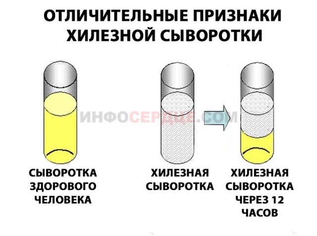 Хилез крови у взрослых и детей: что это, причины и лечение