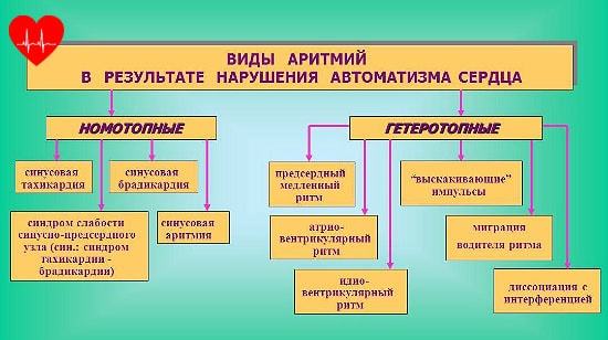 Нарушение ритма сердца — Причины и основные признаки сердечного ритма, методы лечения, советы врачей