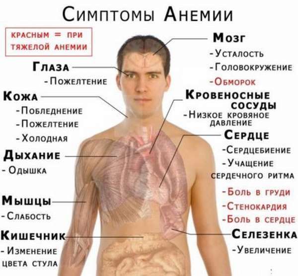 Гемоглобин 80 у женщины: причины, что делать