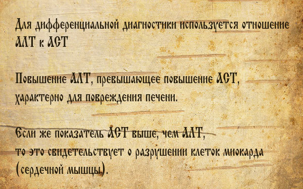 АЛТ в крови – что показывает АЛТ в крови? Норма, что делать, если повышен АЛТ?