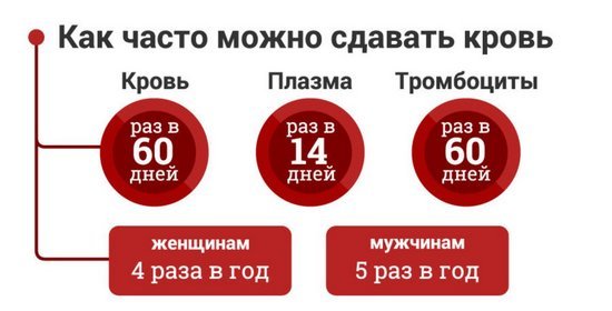 Сколько раз можно сдавать кровь: в год, месяц, по закону, на плазму, противопоказания, как подготовиться