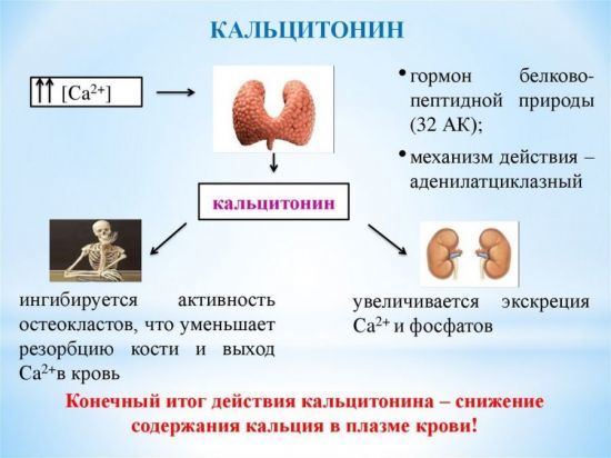 Повышенный калий в крови, причины и симптомы высокого калия в крови