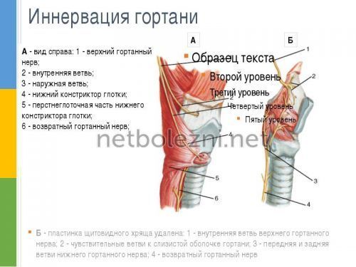 О чем говорит боль в грудной клетке посередине при вдохе? О чем говорят боли в грудной клетке при вдохе