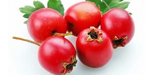 Лечение экстрасистолии в домашних условиях народными средствами - как вылечить