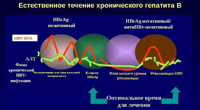 Бараклюд — инструкция по применению, цена и аналоги