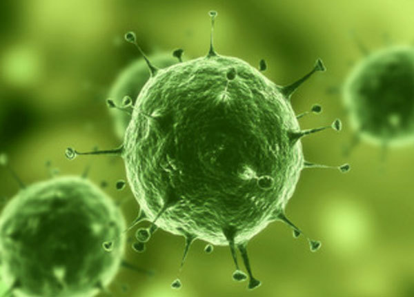 Симптомы и лечение миокардита у детей