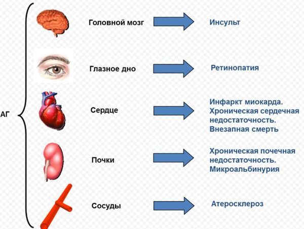 Высокий пульс: что делать, причины, лечение заболевания