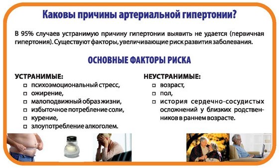 Этиология гипертонической болезни: причины