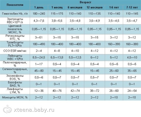 Лейкоцитарная формула у детей - норма по таблице