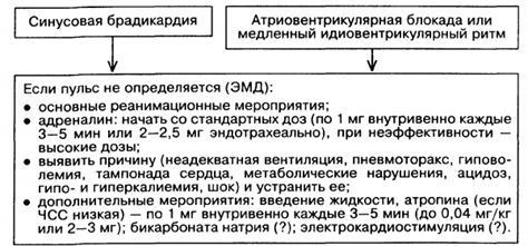 Брадикардия сердца: что это такое и как лечить, симптомы, причины