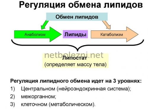 Уколы Дексаметазон: инструкция по применению внутримышечно