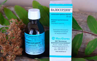 Валосердин – инструкция по применению, механизм действия, дозировка, противопоказания и отзывы
