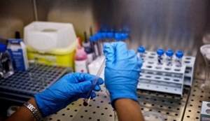 Anti hcv подтверждающий положительный что это значит — Лечим печень