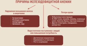 Препараты железа при анемии: список лучших