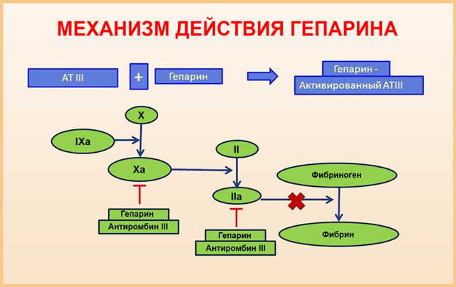 Гепарин – инструкция по применению, формы выпуска, аналоги