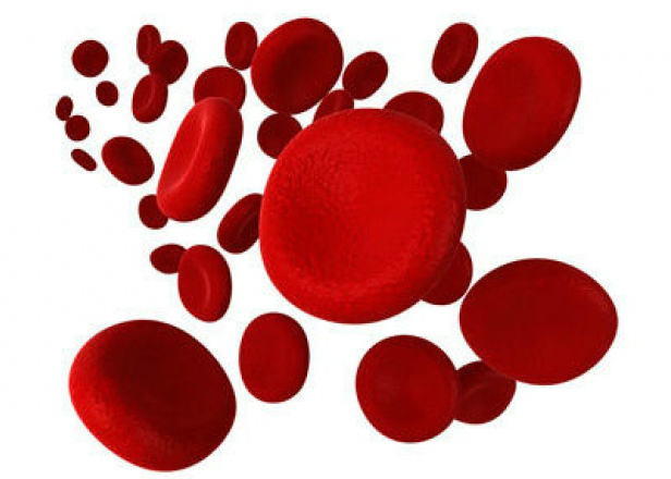 Холестерин плохой и хороший - опасность и норма у женщин