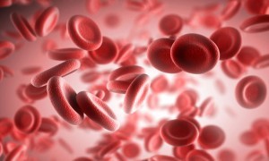 Анализ крови на mch и mchc