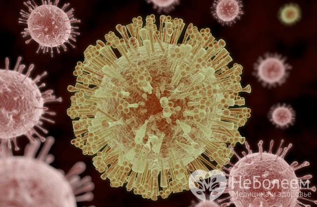 Вирус Зика - причины, симптомы и лечение Zika virus
