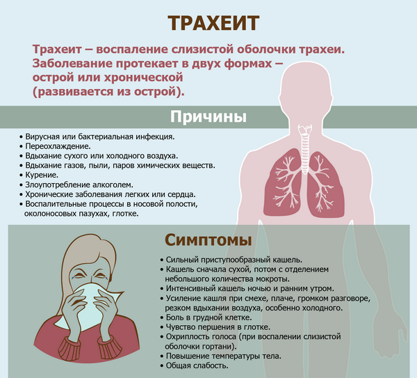 Боль в грудине: причины болевых ощущений слева, справа и посередине грудной клетки (видео)