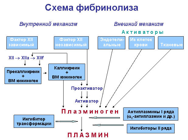Фибринолитическая активность (в крови)