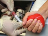 Со скольки лет можно стать донором крови — до какого возраста можно быть донором крови