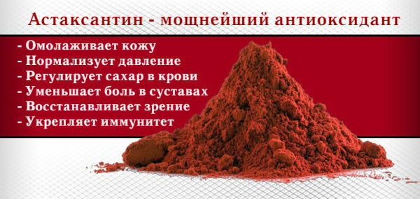 Браслет Бяньши из черного неофрита обман? Что о нем говорят специалисты