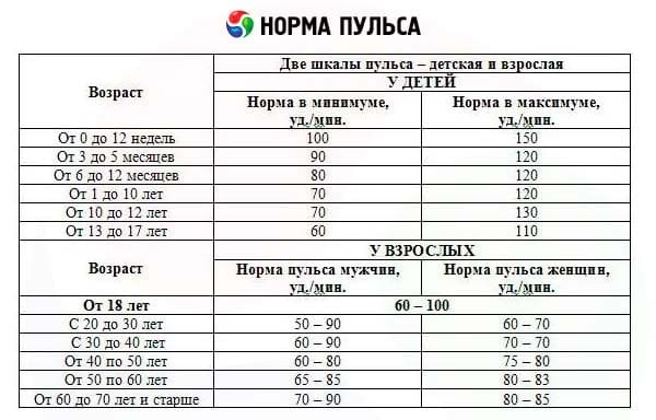 Частота сердечных сокращений у взрослых. Пульс здорового человека — каким он должен быть?