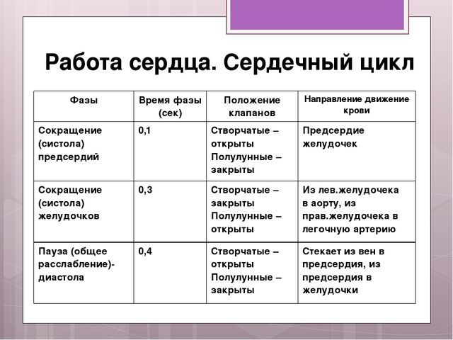 Сердечный цикл, его фазы (таблица): из чего состоит деятельность сердца