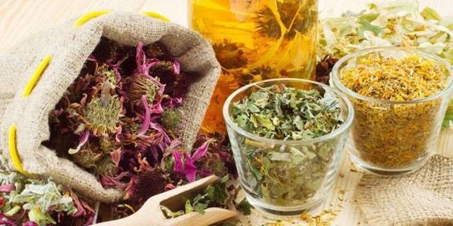 Лучшие продукты и травы для разжижения крови
