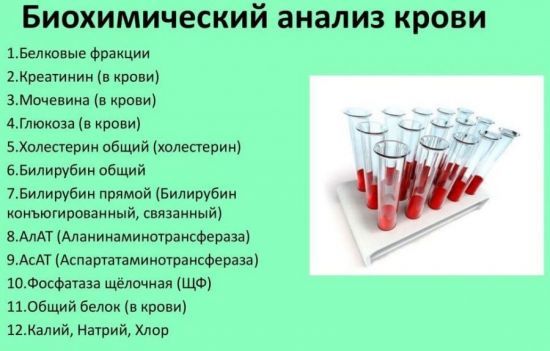 АЛТ в крови – что показывает АЛТ в крови? Норма, что делать, если повышен АЛТ?