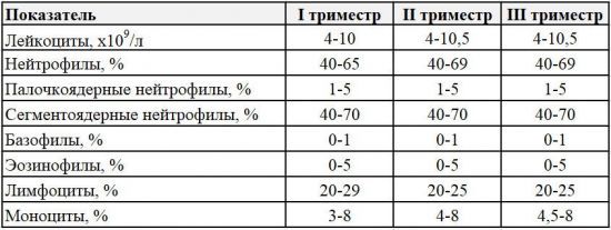 Общий анализ крови - лейкоциты: норма и причины отклонения от нормы