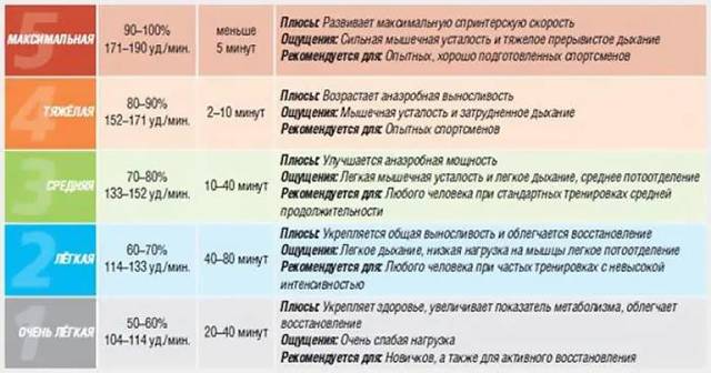 Сколько ударов должно биться сердце в минуту — Сердце