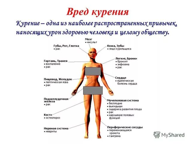 Pawet: Эффективные методы снижения холестерина