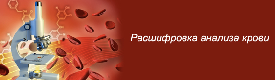 Расшифровка общего анализа крови
