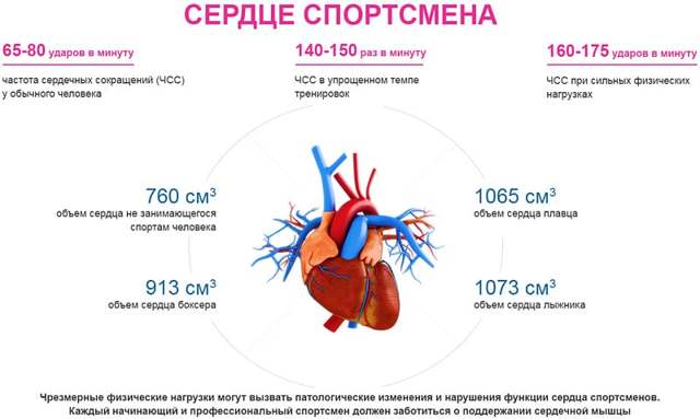 Тренировки и упражнения для сердца