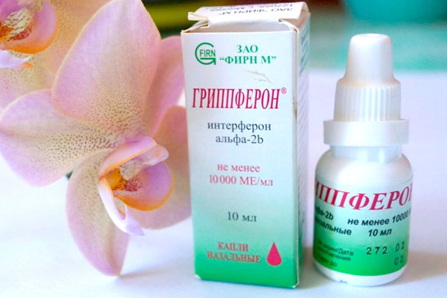 Интерферон лейкоцитарный жидкий инструкция по применению