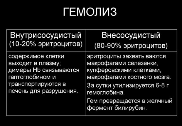 Гемолиз - это что? Гемолиз крови, частичный гемолиз