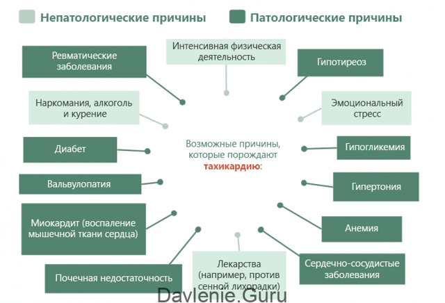 Тахикардия после алкоголя или с похмелья: что делать
