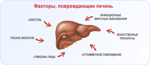 Фосфоглив путь к выздоровлению печени - Лечение печени