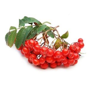 Как лечить пониженное давление в домашних условиях