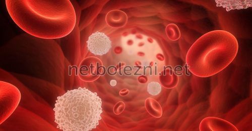 Сегментоядерные нейтрофилы понижены