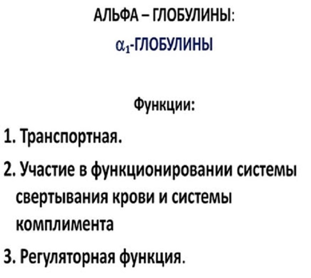 Белки плазмы крови – их функции в организме, фракции и их характеристика