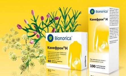 Канефрон – инструкция по применению, аналоги, отзывы, цена