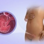 Свечи и мазь Гепатромбин Г: инструкция по применению и сколько стоят?