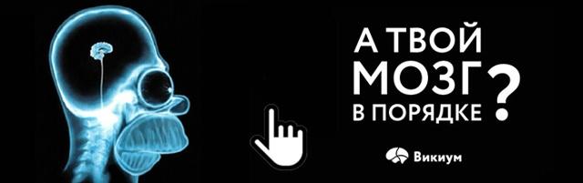 Единичные очаги в белом веществе головного мозга - результаты МРТ