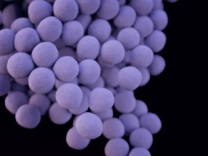 Что делать, если у ребенка повышенные эозинофилы