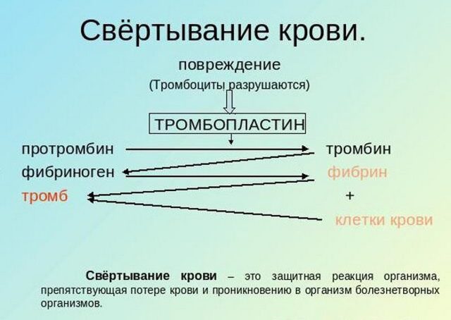 Определение МНО дома - анализ измерения